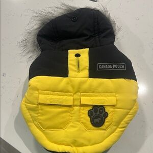 Yellow and Black Dog Jacket